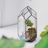 chau-kinh-terrarium-chop-da-giac - ảnh nhỏ  1